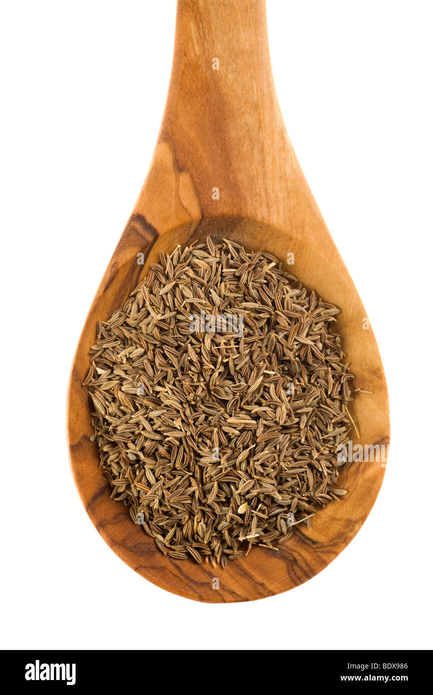 Carvi o cumino persiano (Carum carvi) su un'oliva cucchiaio di legno Foto Stock