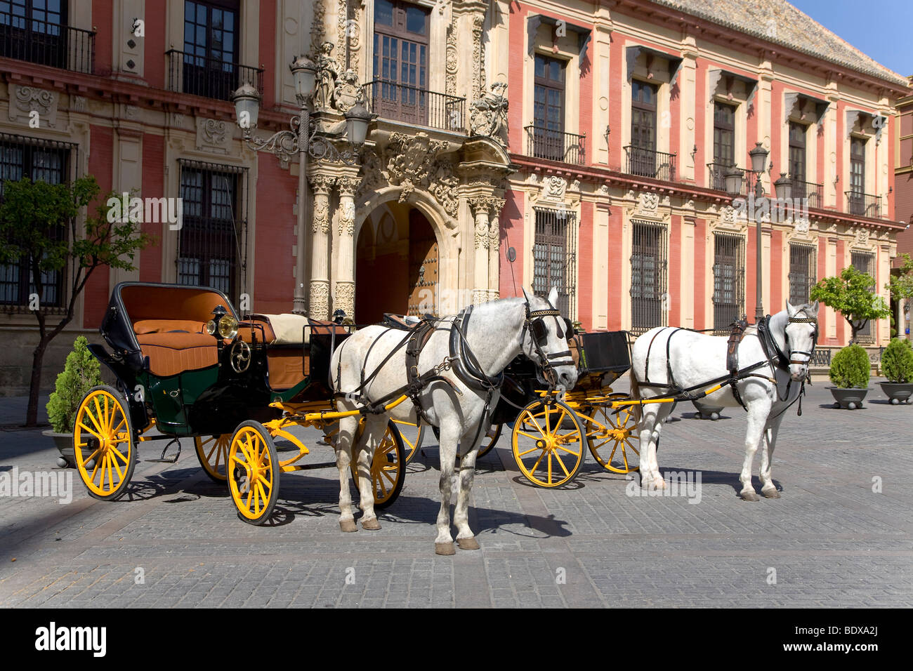 Carrozze trainate da cavalli, il Palazzo del Vescovo, Barrio Santa Cruz di Siviglia, in Andalusia, Spagna, Europa Foto Stock