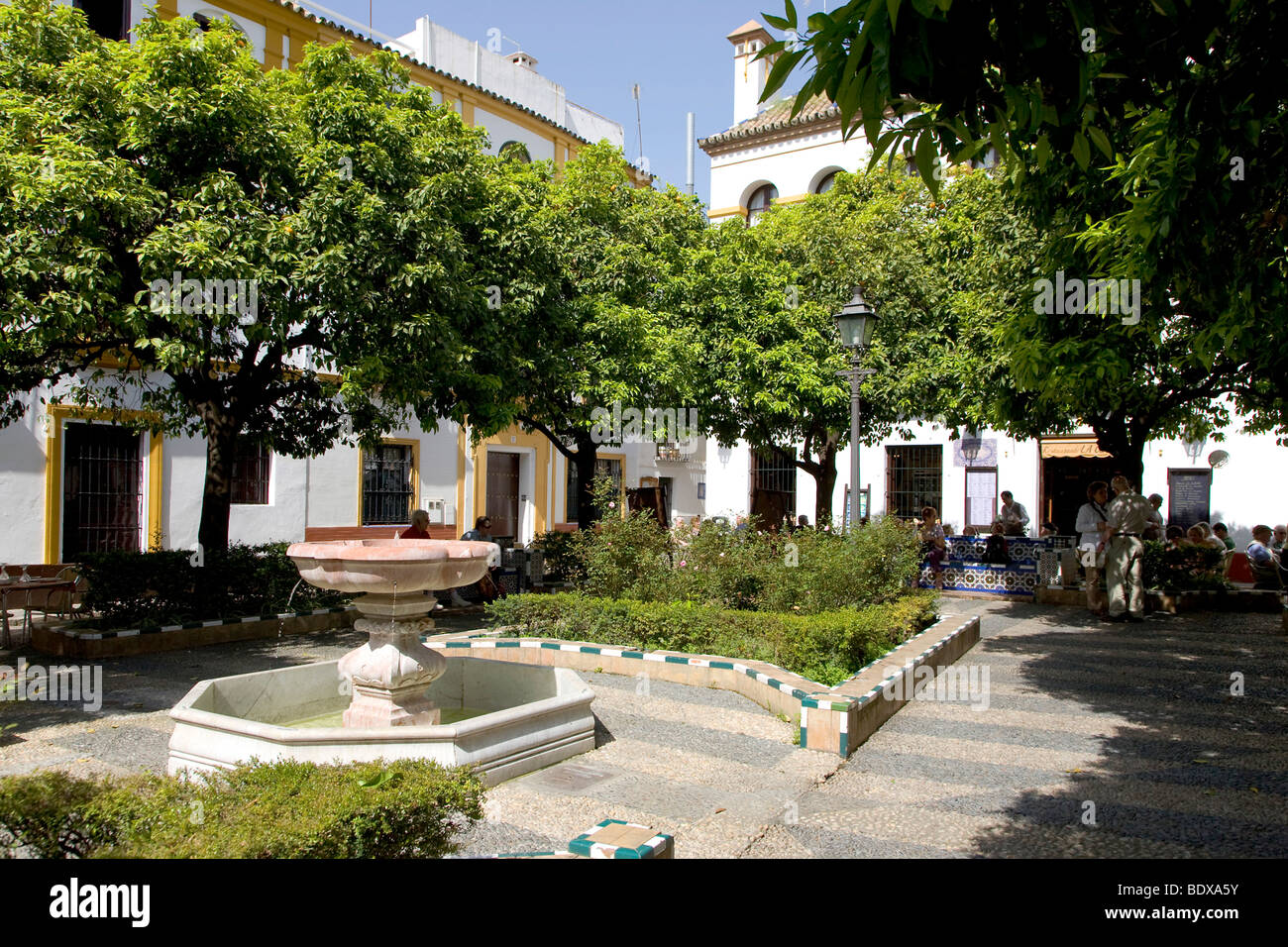 Plaza Dona Elvira, Juderia district, Barrio Santa Cruz di Siviglia, in Andalusia, Spagna, Europa Foto Stock