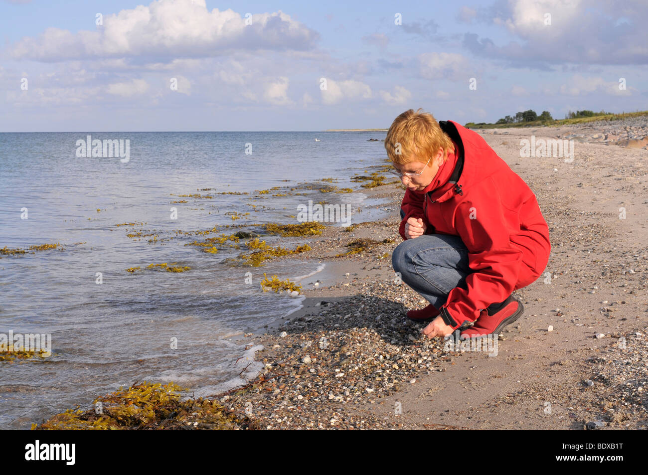 Donna che guarda per pietre sulla spiaggia Foto Stock