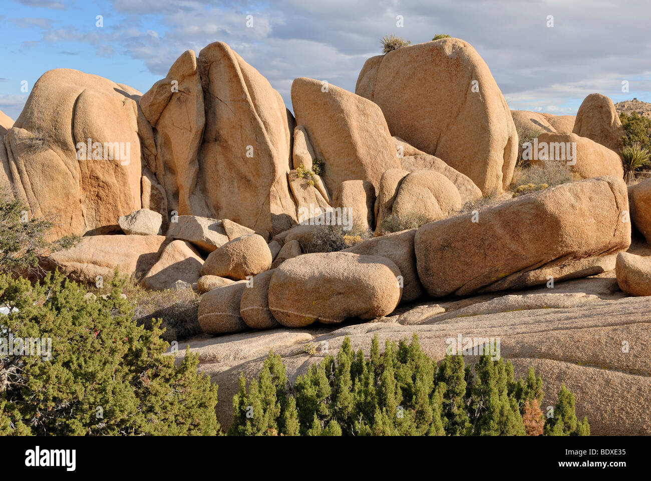 Formazione di roccia alla vasca bianca, monzogranitee, Joshua Tree National Park, Palm Desert, nel sud della California, Stati Uniti d'America Foto Stock