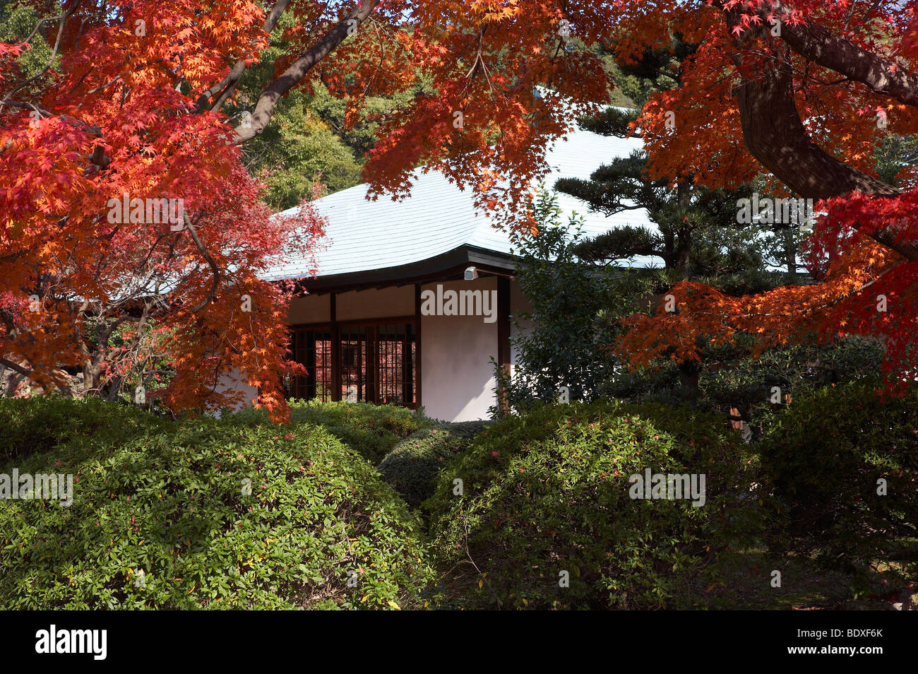 Autunno vista sul tè giapponese casa e giardino Foto Stock