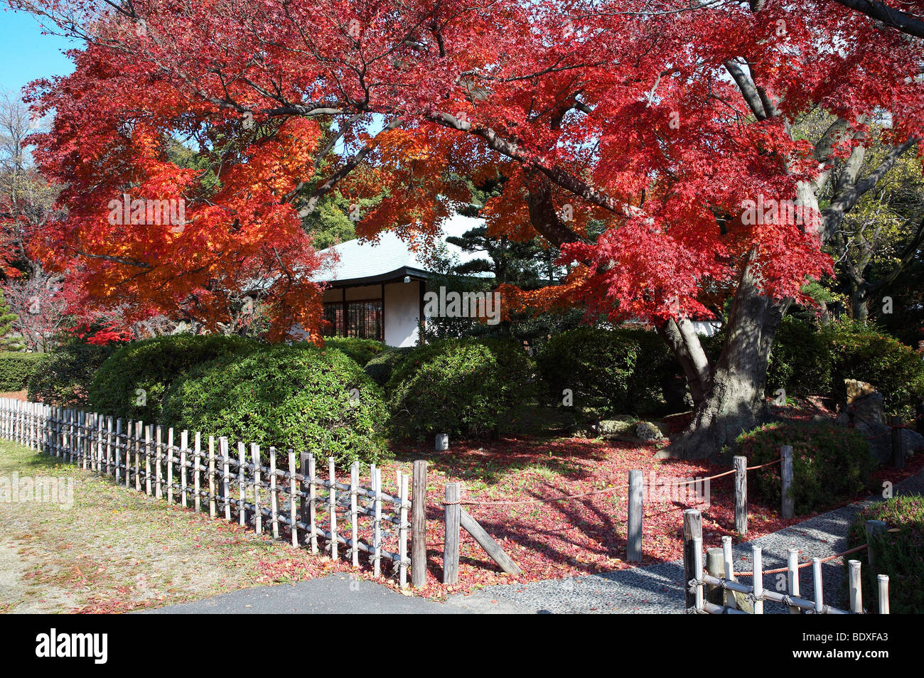 Autunno vista sul tè giapponese casa e giardino Foto Stock