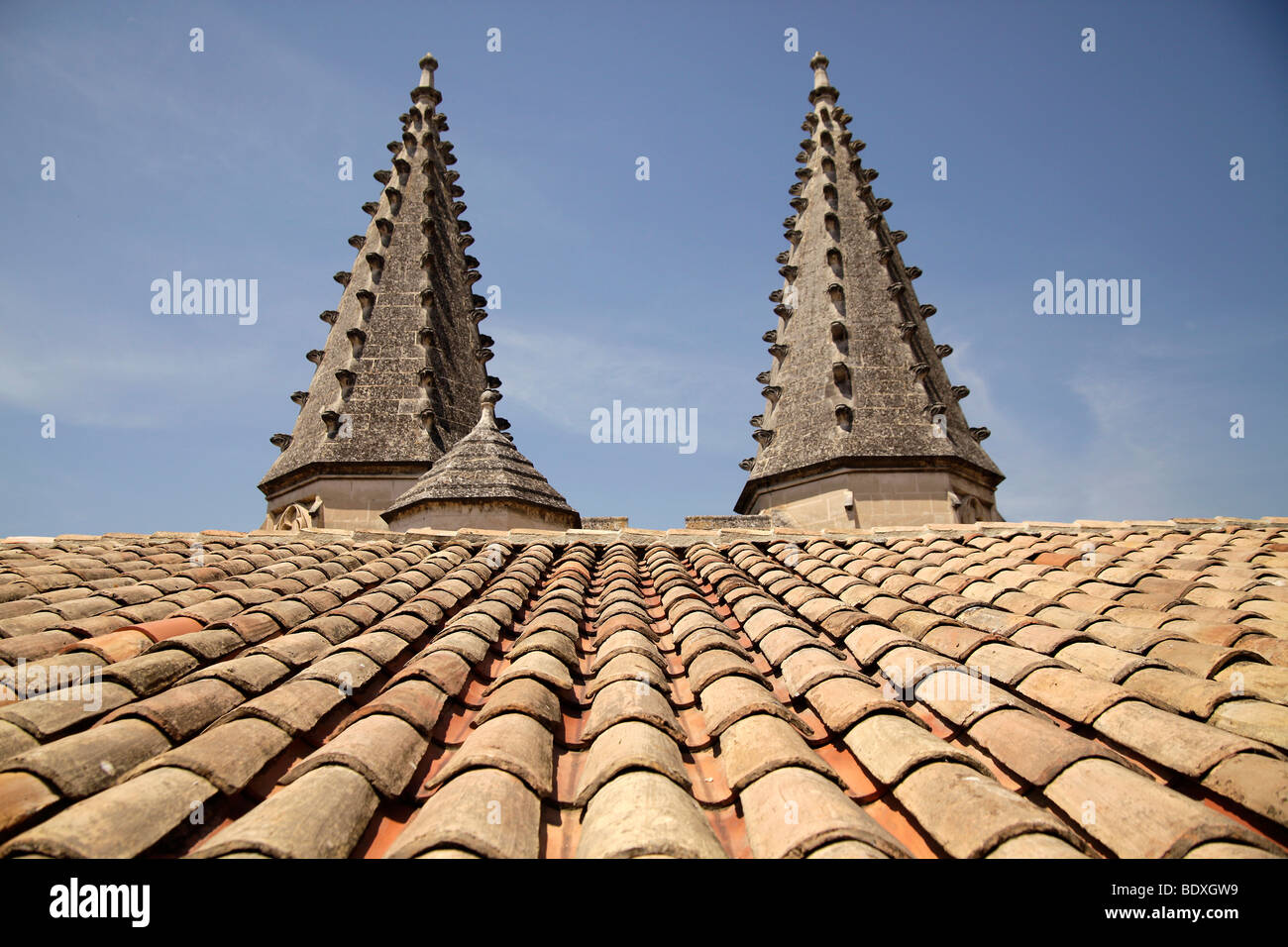Le torri gemelle e il tetto del Palais des Papes, Papa's Palace, ad Avignone, Provence, Francia Foto Stock