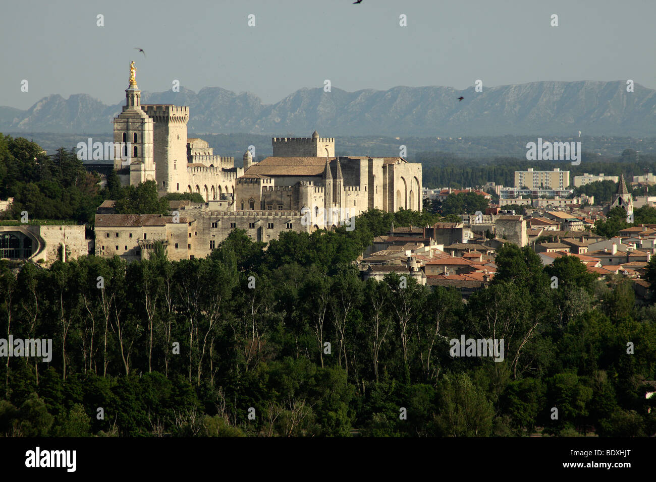 Paesaggio con Palais des Papes, Papa's Palace e Cattedrale di Avignone, Provence, Francia Foto Stock