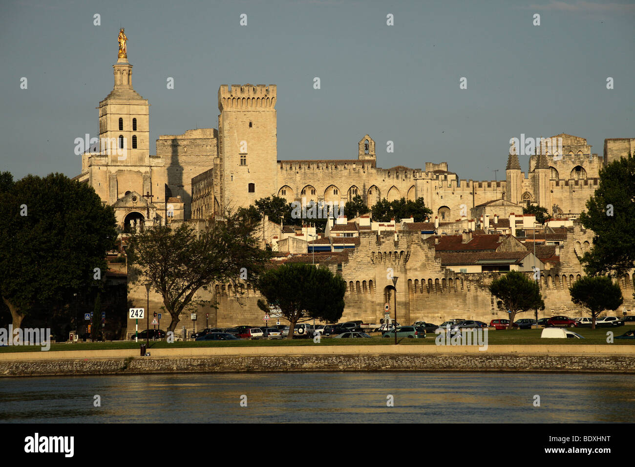 Paesaggio con Palais des Papes, Papa's Palace, la cattedrale e il fiume Rodano in Avignone, Provence, Francia Foto Stock