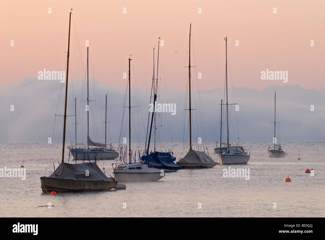 Barche a vela e a bassa nebbia di mattina su lago Ammersee a Utting, Baviera, Germania, Europa Foto Stock