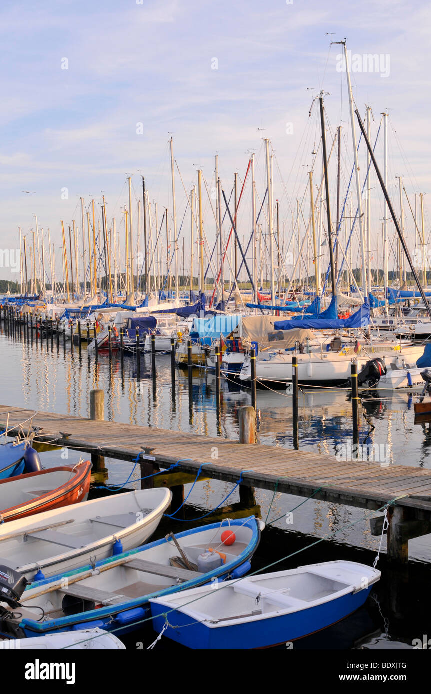 Barche a vela nel porto di Maasholm, Mar Baltico, Schleswig-Holstein, Germania settentrionale, Germania, Europa Foto Stock