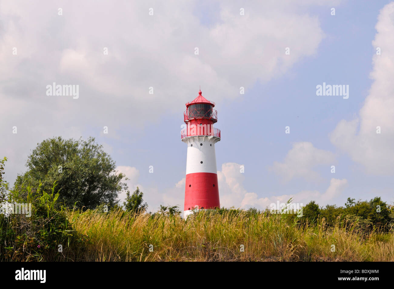 Faro, Falshoeft, Mar Baltico, Schleswig-Holstein, Germania settentrionale, Germania, Europa Foto Stock