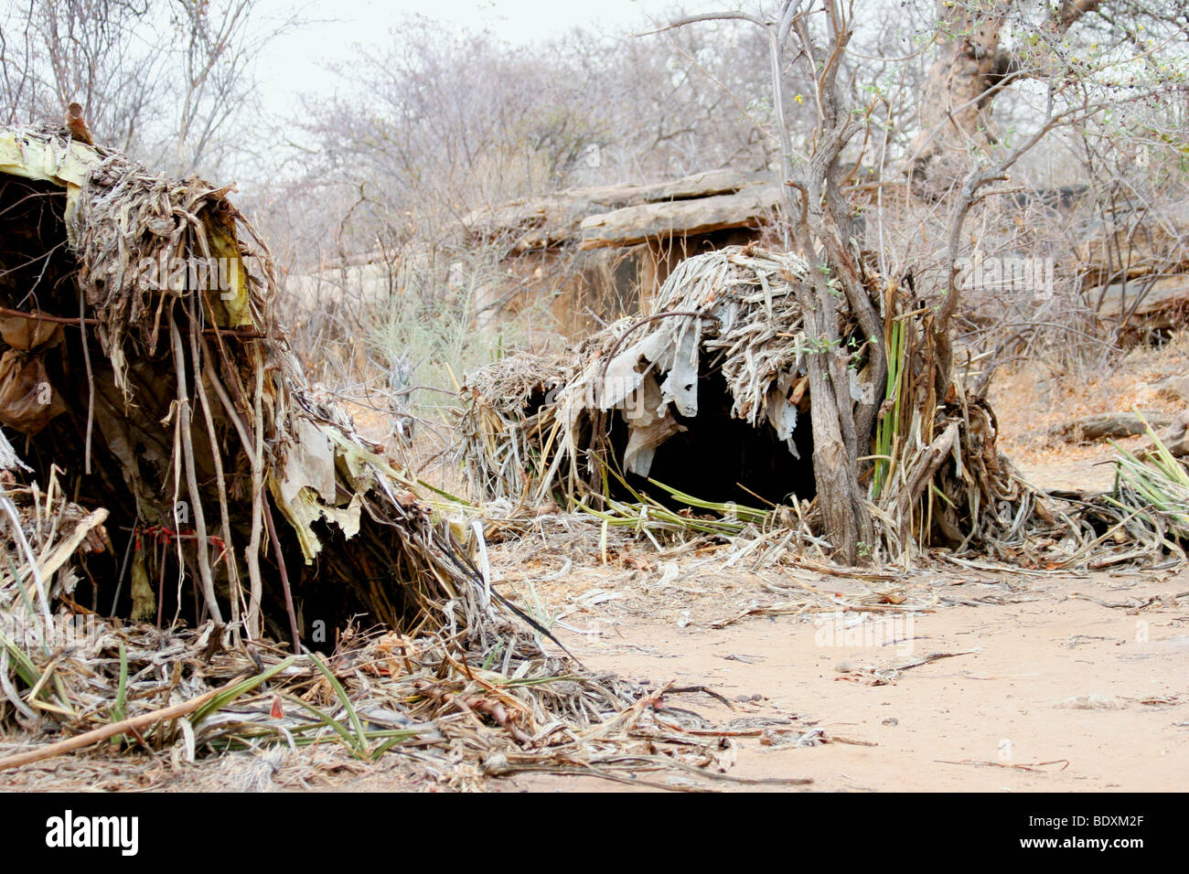 Africa, Tanzania, Lago Eyasi, capanne di foglie della tribù Hadza una piccola tribù di cacciatori-raccoglitori AKA tribù Hadzabe Foto Stock