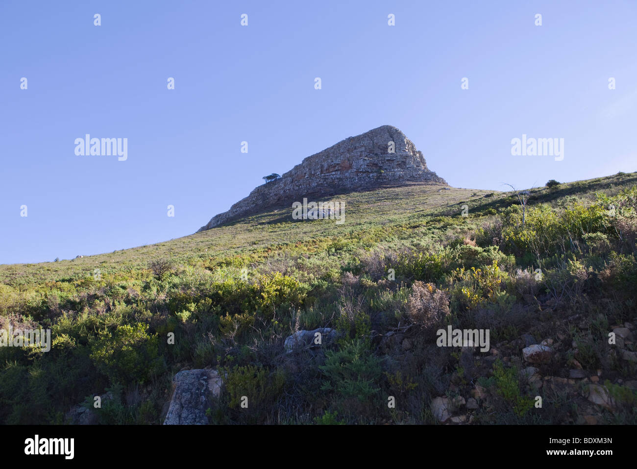 Lions Head Mountain, sorella di picco a Table Mountain, Sud Africa Foto Stock