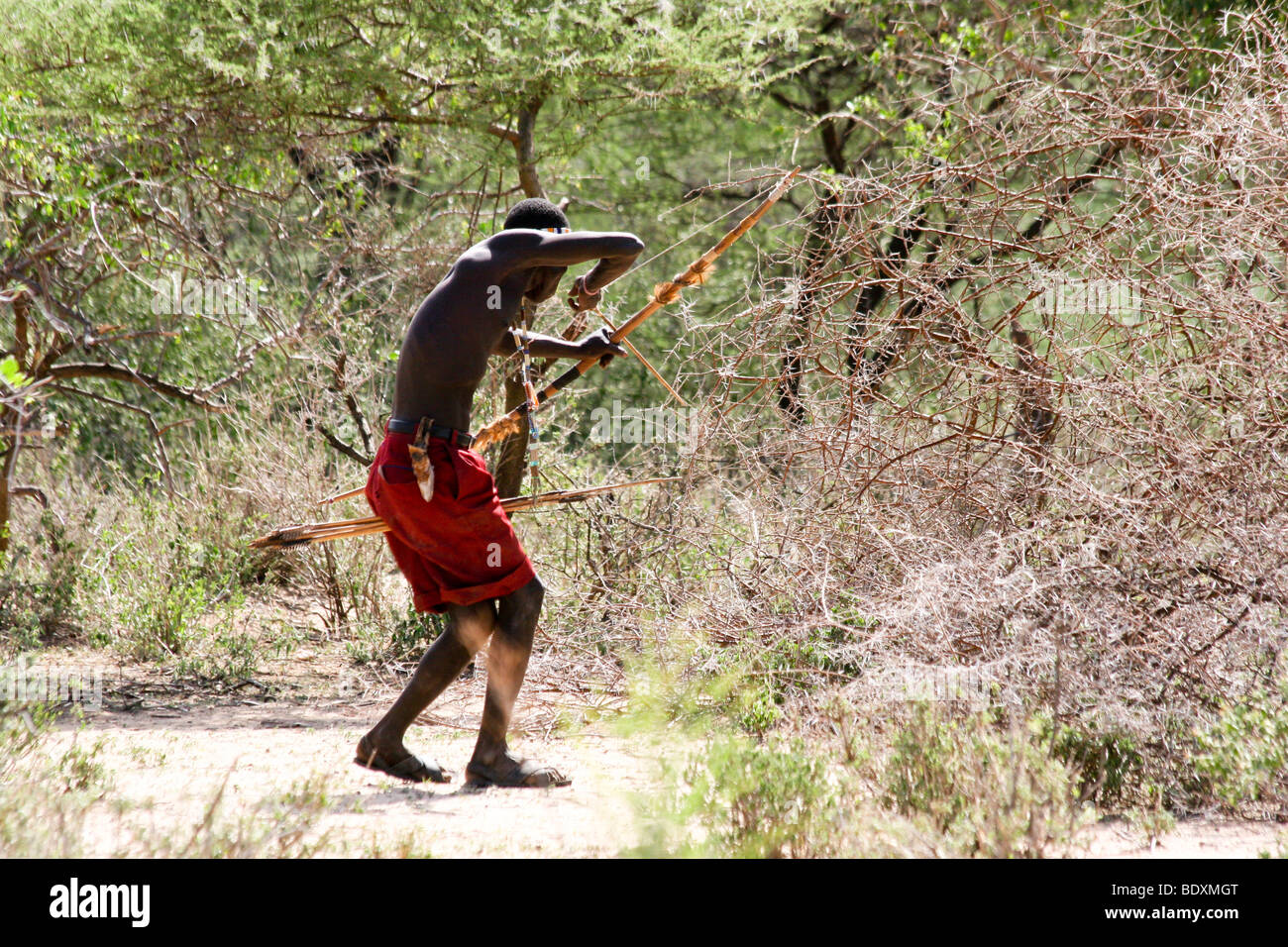 Africa, Tanzania, Lago Eyasi, Hadzabe uomo caccia con arco e frecce piccole tribù di cacciatori-raccoglitori AKA tribù Hadzabe Foto Stock