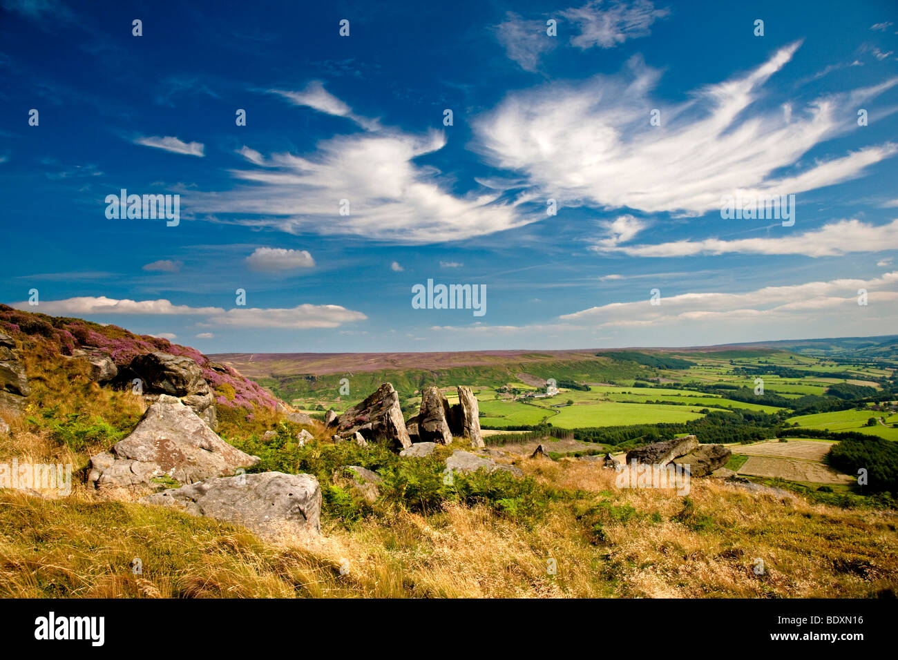 Visualizza in basso Bilsdale dalla banca affrettate sul modo di Cleveland, North York Moors National Park Foto Stock