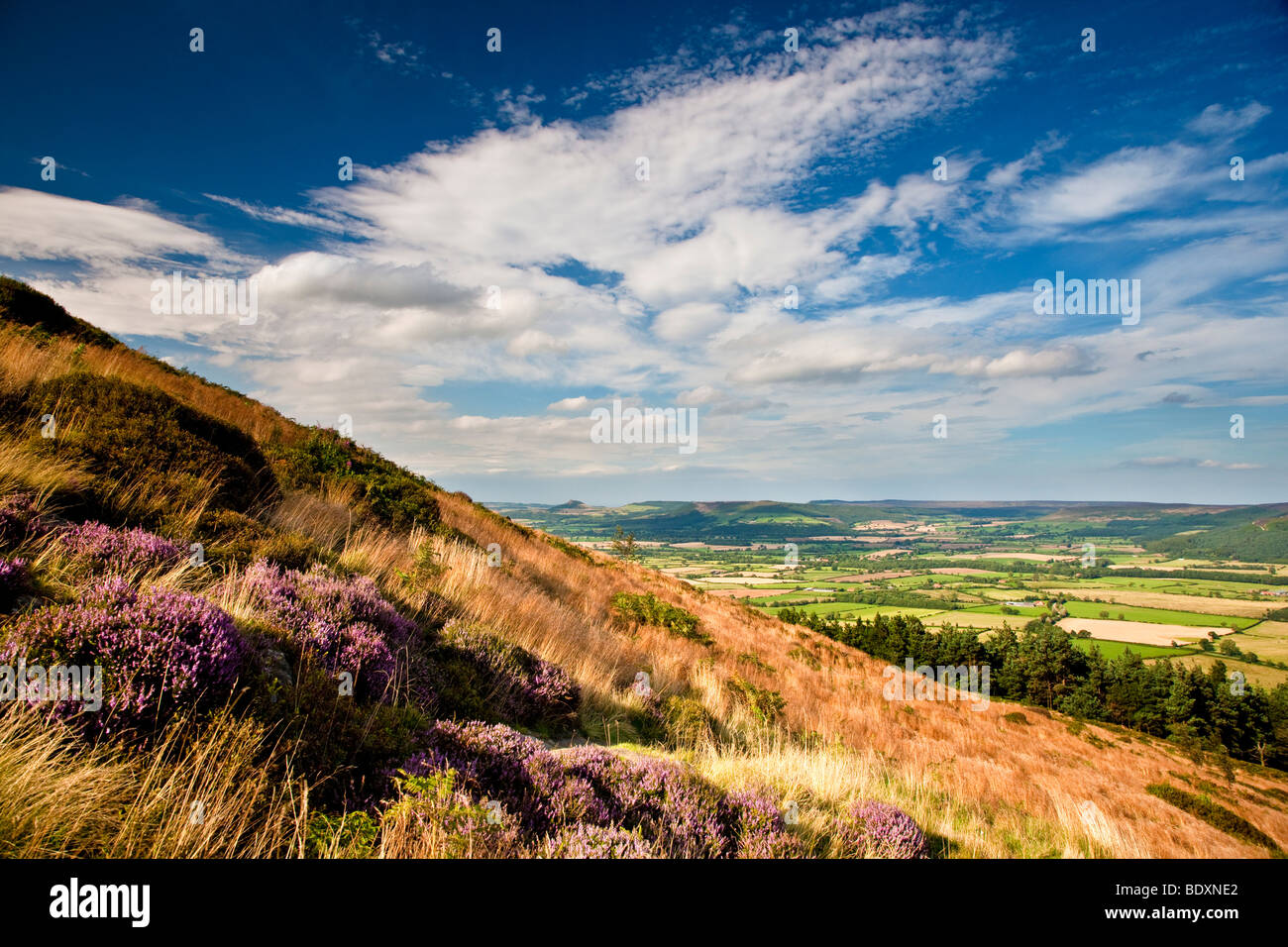 Il Stokesley pianura da Banca affrettate sul modo di Cleveland, North York Moors National Park Foto Stock