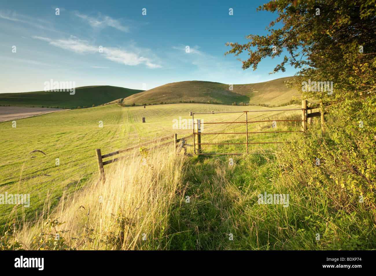 Il sentiero verso Tan collina vicino ad Alton Barnes, Marlborough, Wiltshire, Regno Unito Foto Stock