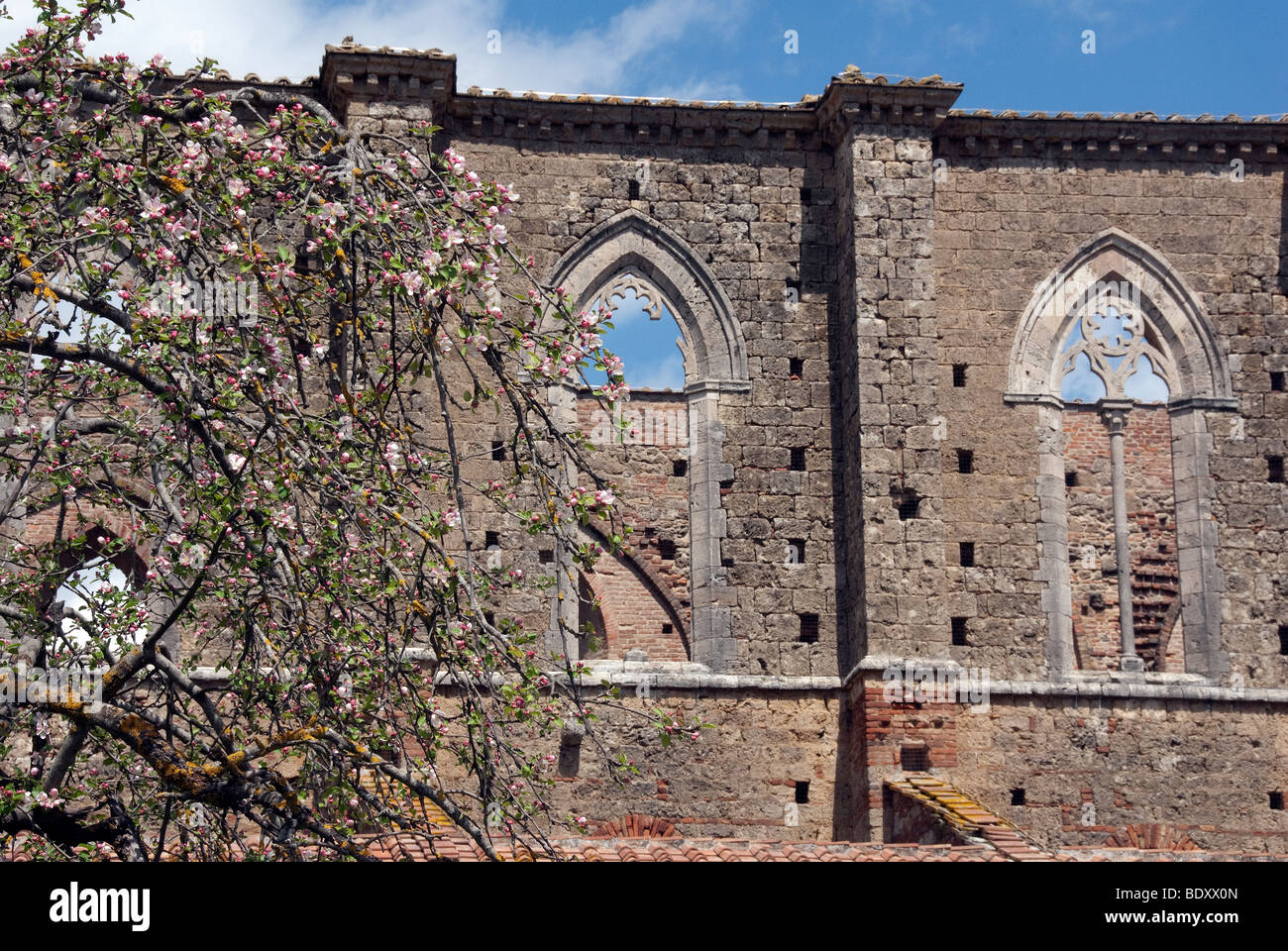 San Galgano del XII secolo Abbazia fondata dal francese monaci cistercensi vicino Siena, ora con il tetto ceduto. Foto Stock