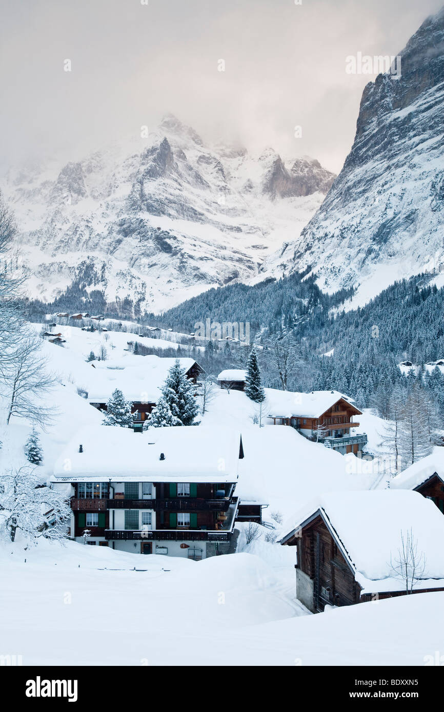 Grindelwald, Wetterhorn montagna, regione di Jungfrau, Oberland bernese, alpi svizzere, Svizzera Foto Stock