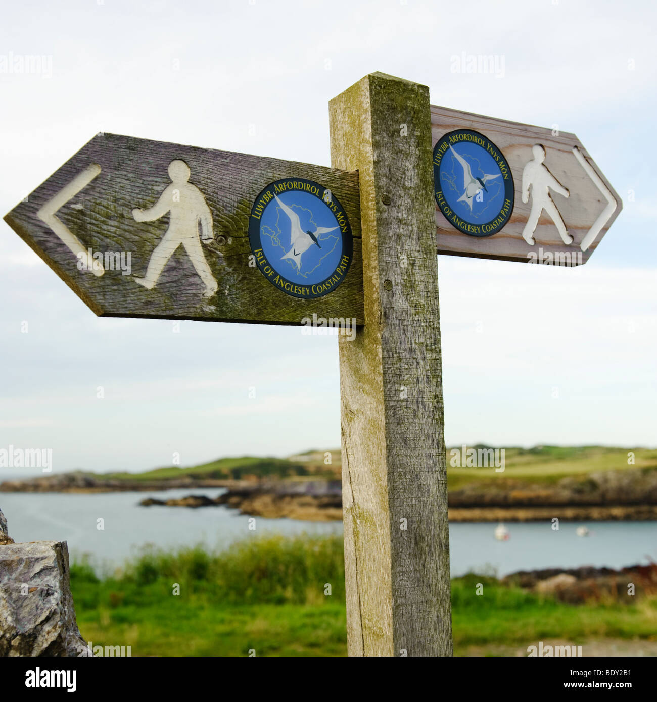 Segnaletica per l'isola di Anglesey sentiero costiero, Cemaes Bay, Ynys Mon, Galles del Nord, Regno Unito Foto Stock