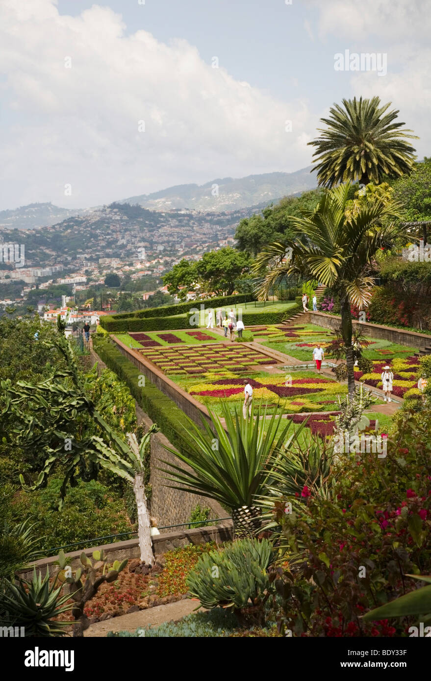Funchal giardini botanici di Madeira. La città di Funchal può essere visto in lontananza. Foto Stock