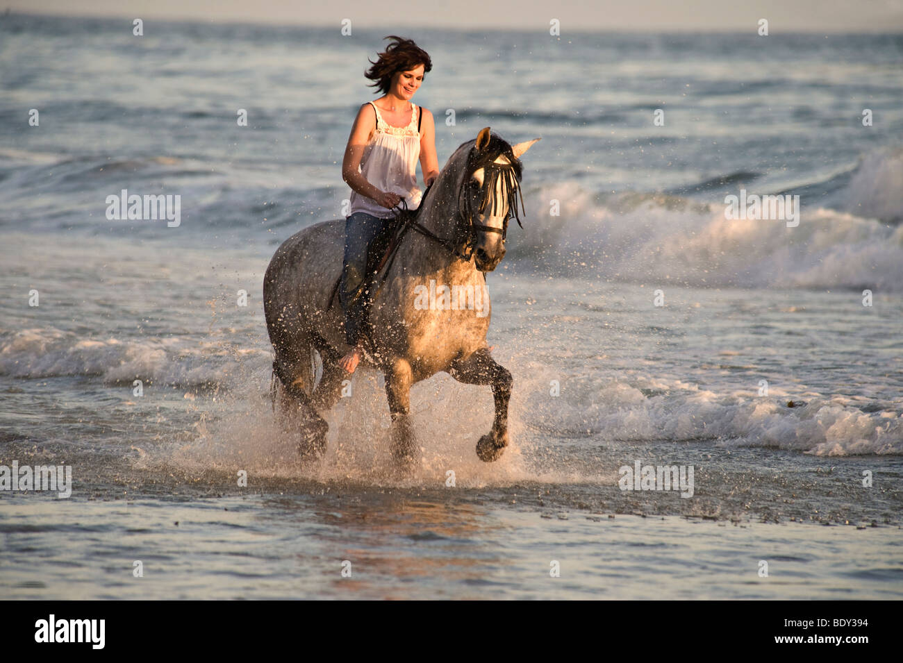 Equitazione donna cavallo andaluso sulla spiaggia vicino a Santa Barbara in California Foto Stock