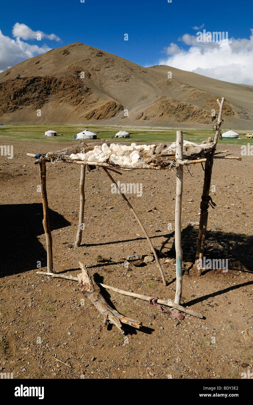 Formaggio di yak essiccazione al sole e yurta nomade nella steppa Mongola, Aimak Ulgi Bayan, montagne di Altai, Mongolia, Asia Foto Stock