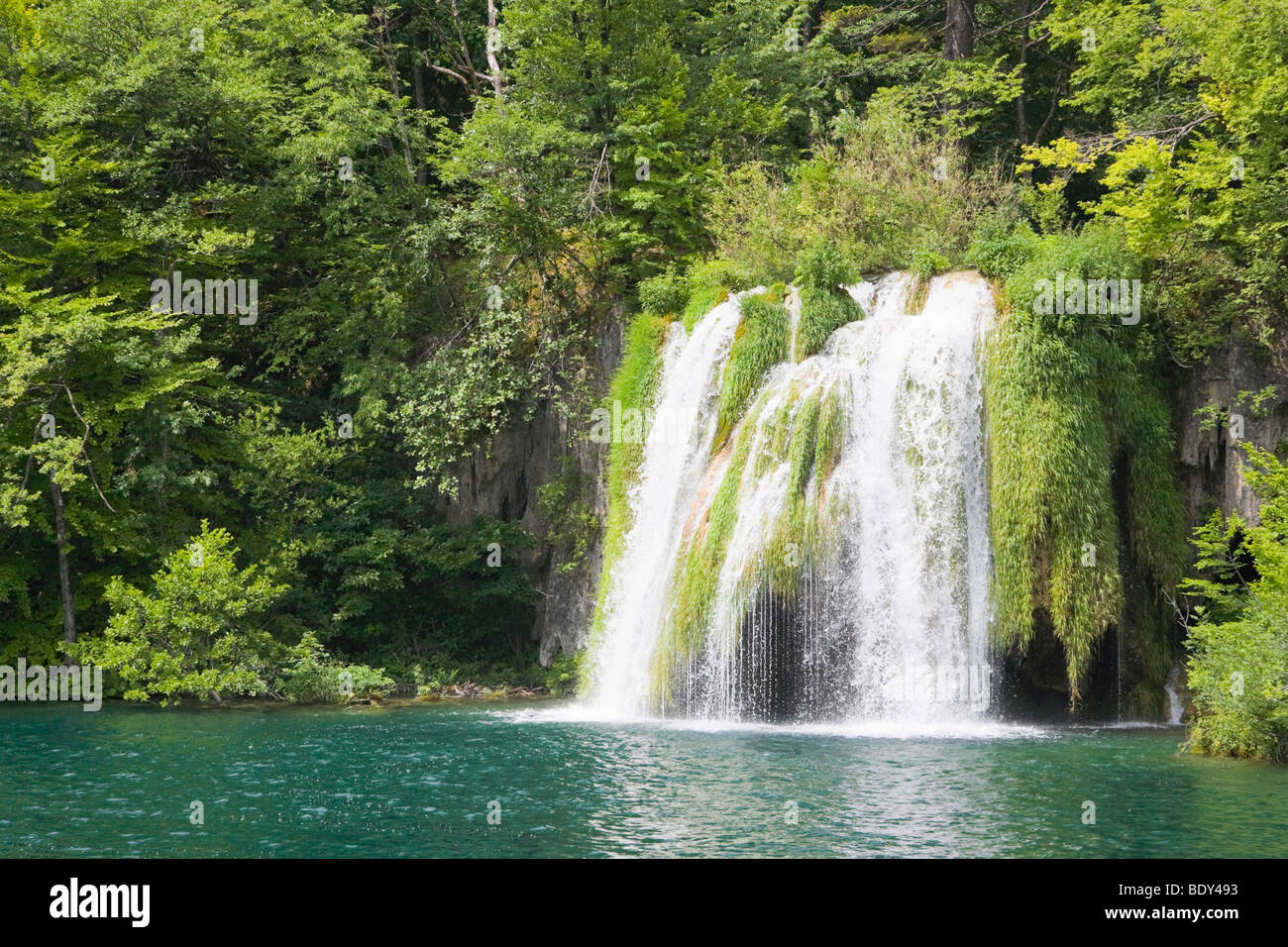Cascata, Plitvicka Jezera, il Parco Nazionale dei Laghi di Plitvice, Lika-Senj Affitto, Croazia, Europa Foto Stock