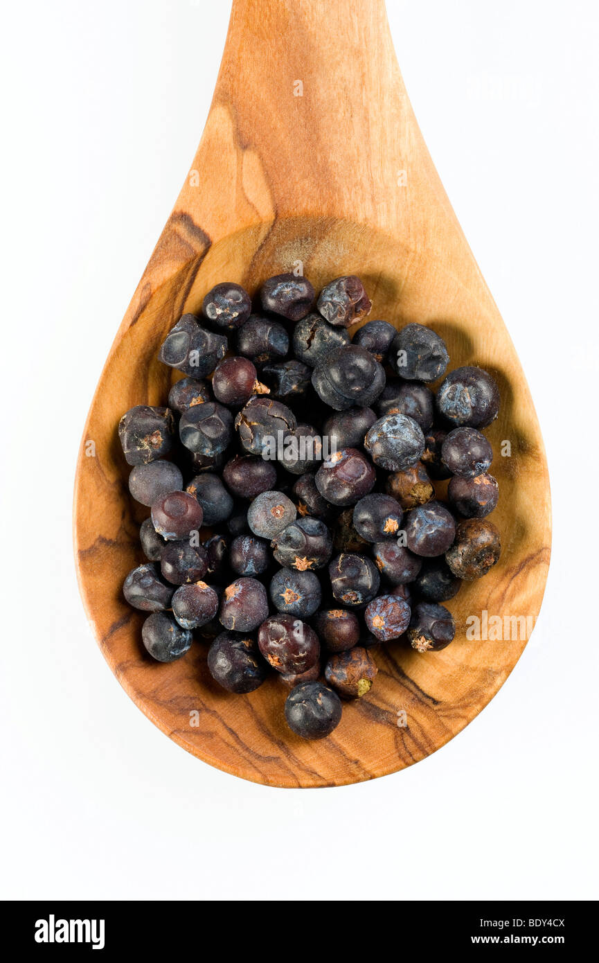 Bacche di ginepro (Juniperus communis) su un cucchiaio di legno d'ulivo Foto Stock