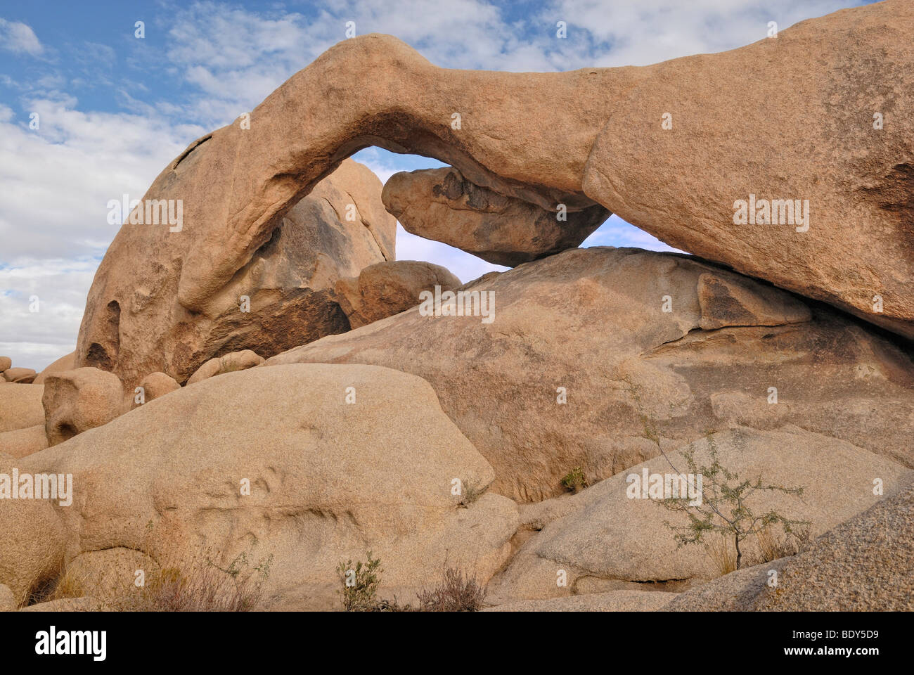 Arch Rock, formazione monzogranite, Joshua Tree National Park, Palm Desert, CALIFORNIA, STATI UNITI D'AMERICA Foto Stock