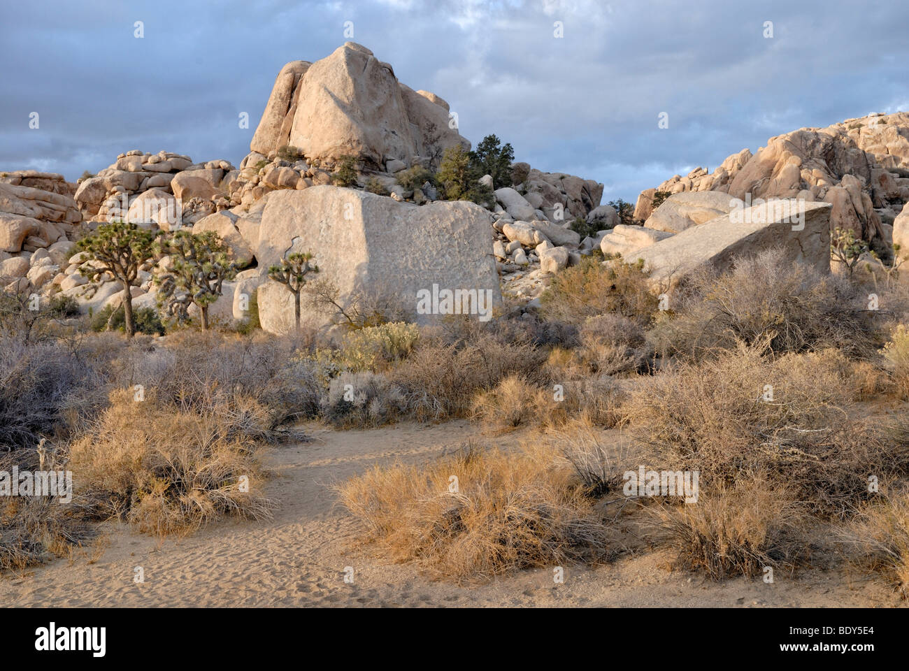 Formazione di roccia, monzogranite, Hidden Valley, Joshua Tree National Park, Palm Desert, nel sud della California, Stati Uniti d'America Foto Stock