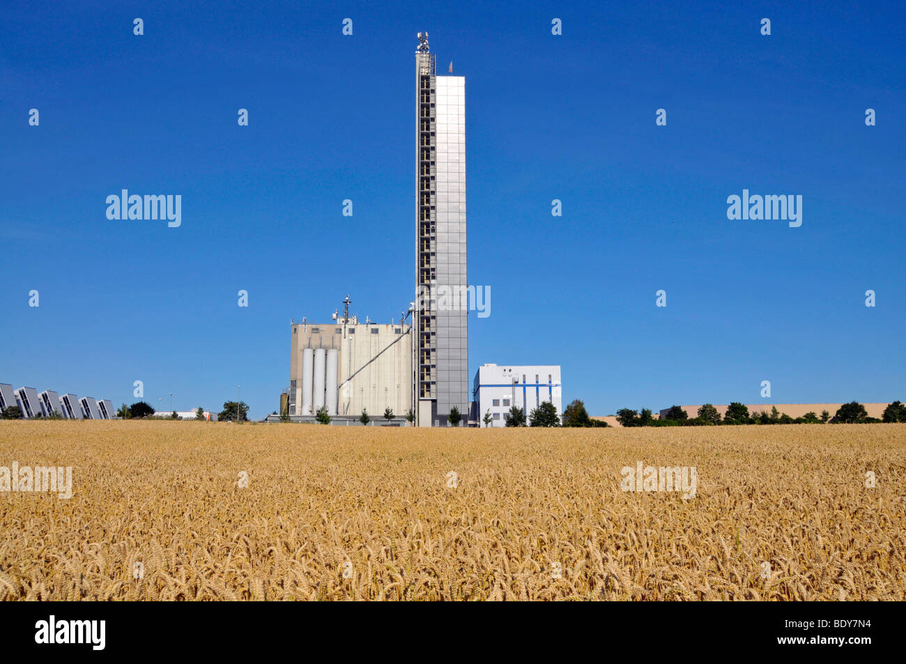 Mulino Schapfenmuehle torre, la più alta silo di grano in tutto il mondo, coperto con un impianto fotovoltaico, Jungingen, Ulm, Baden-Wuert Foto Stock