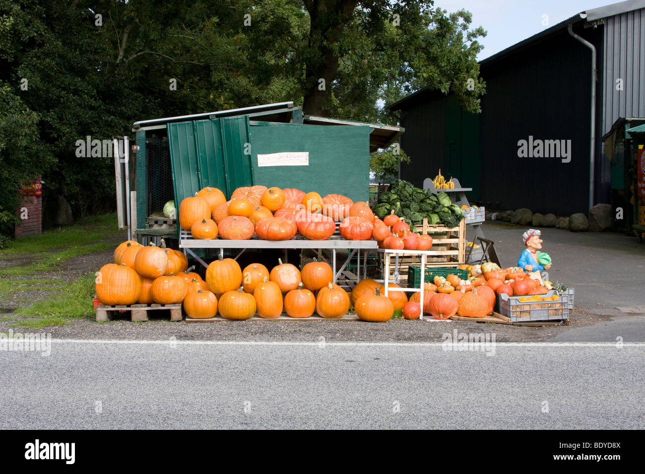 Vegetali di stallo in una fattoria, in corrispondenza di una strada, Frisia del nord, nord Germania, Europa Foto Stock