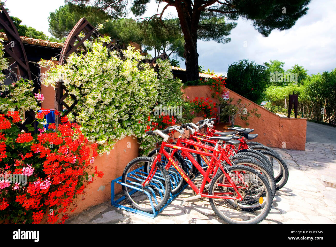 Red biciclette presso il Relais delle Picchiaie sull'Isola d'Elba, Italia Foto Stock