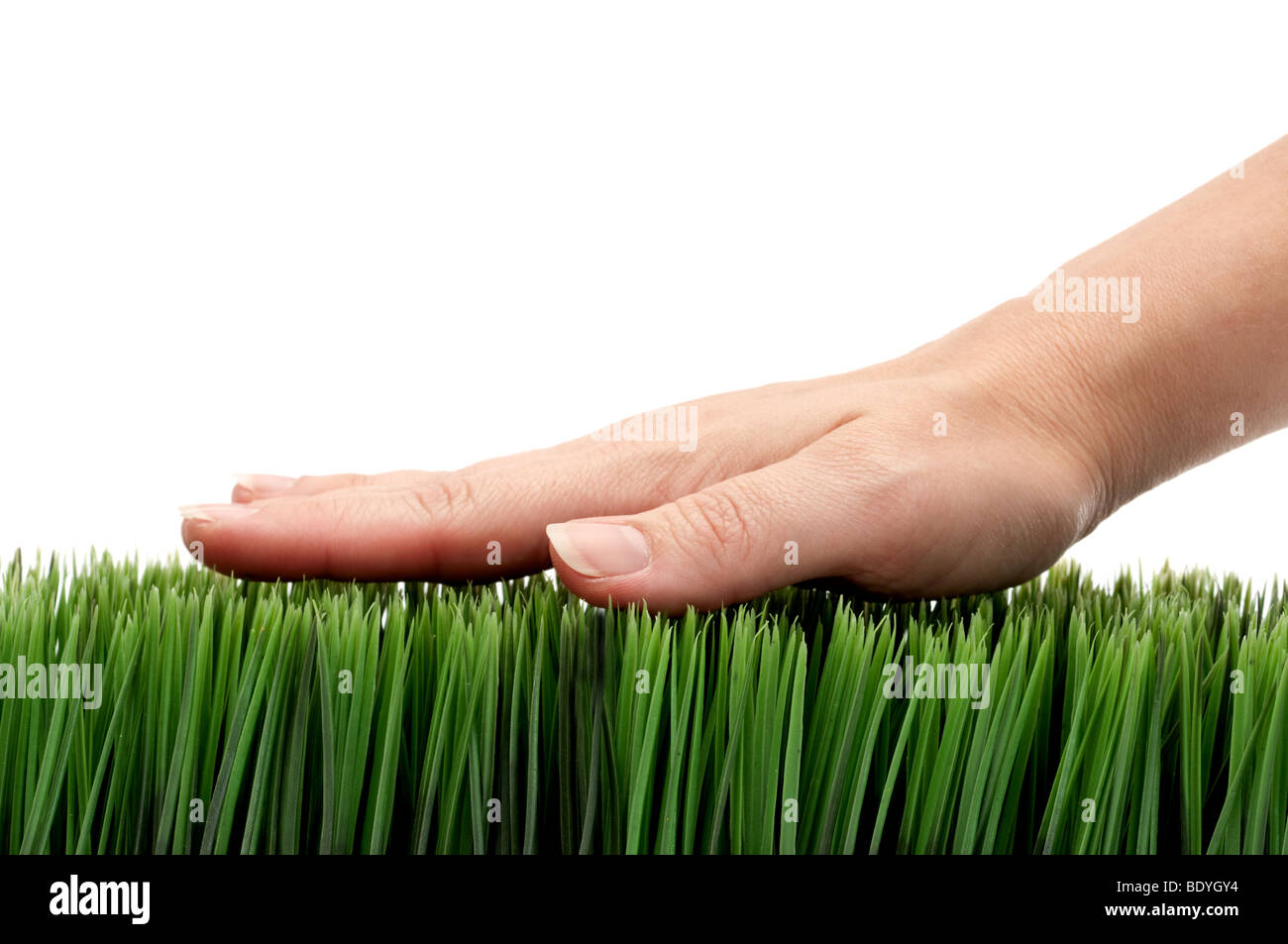 Femmina orizzontale mano sull'erba verde su bianco Foto Stock