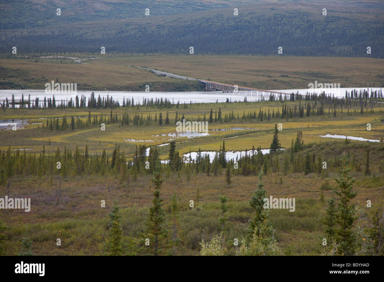 La Denali Highway ponte sopra il fiume Susitna nel deserto remoto ad est del Parco Nazionale di Denali. Foto Stock
