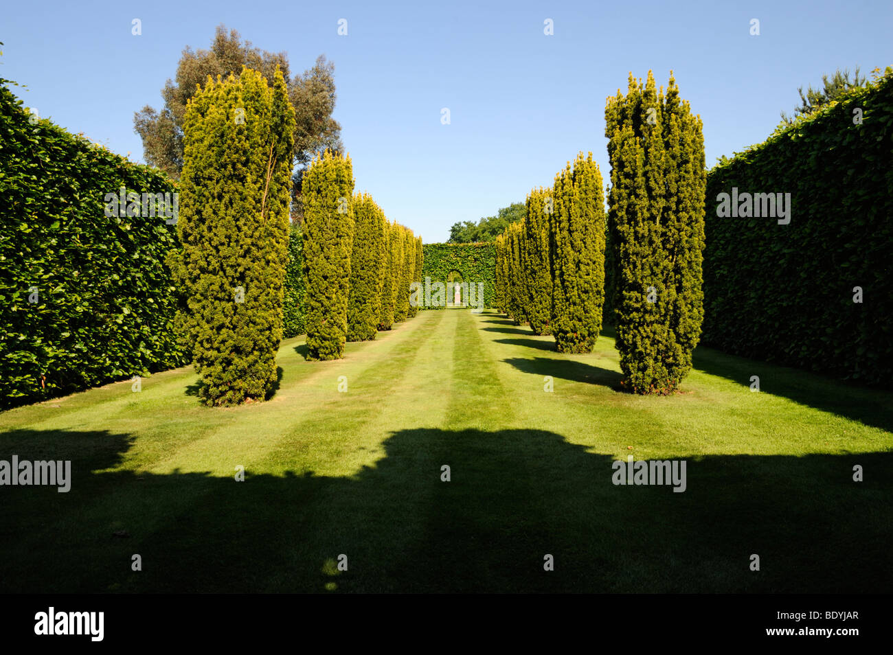 Topiaria da in Old Vicarage Gardens ,East Ruston,Norfolk, Regno Unito Foto Stock