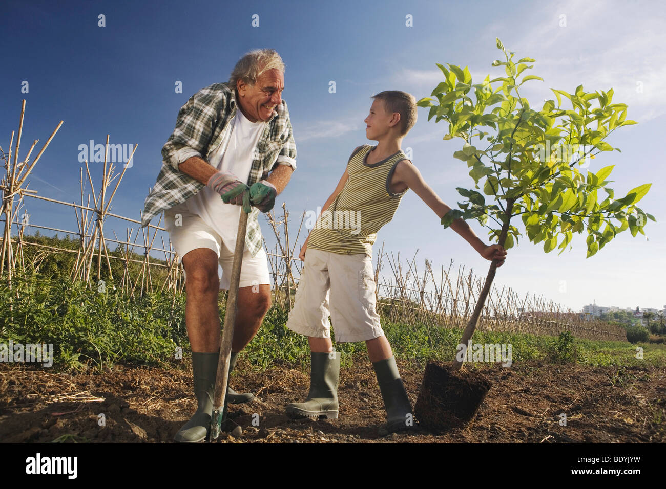 Nonno e nipote piantare Foto Stock