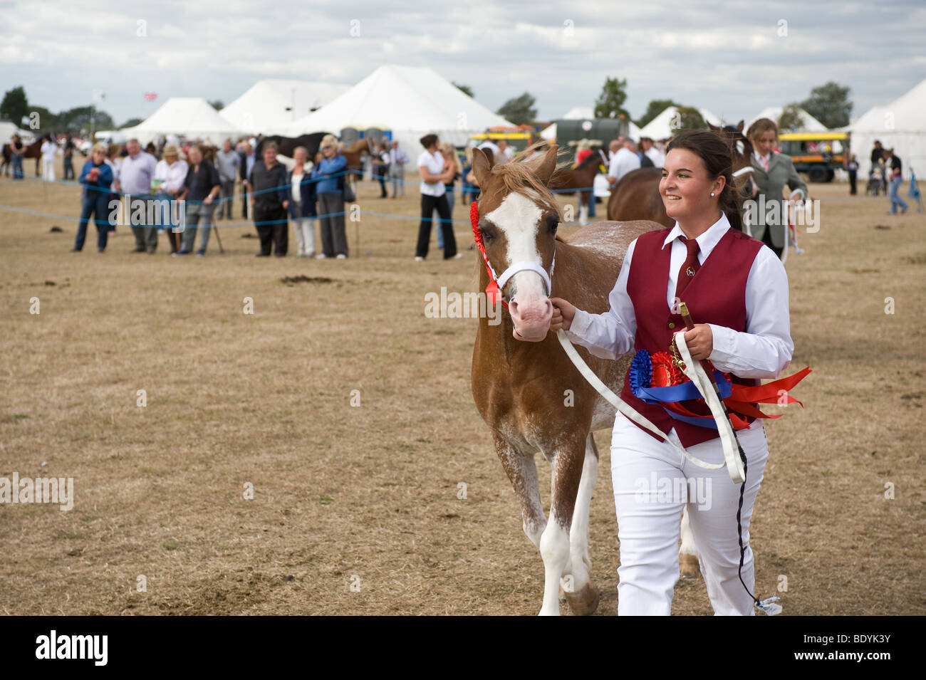 Una femmina groom portando un pony intorno a un anello di mostrare a un paese mostrano in Essex. Foto di Gordon Scammell Foto Stock