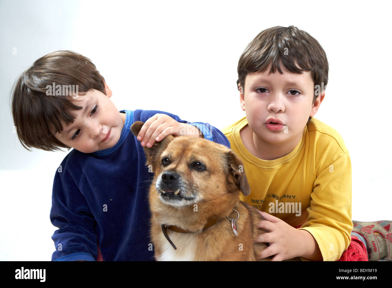 I bambini con un cane Foto Stock