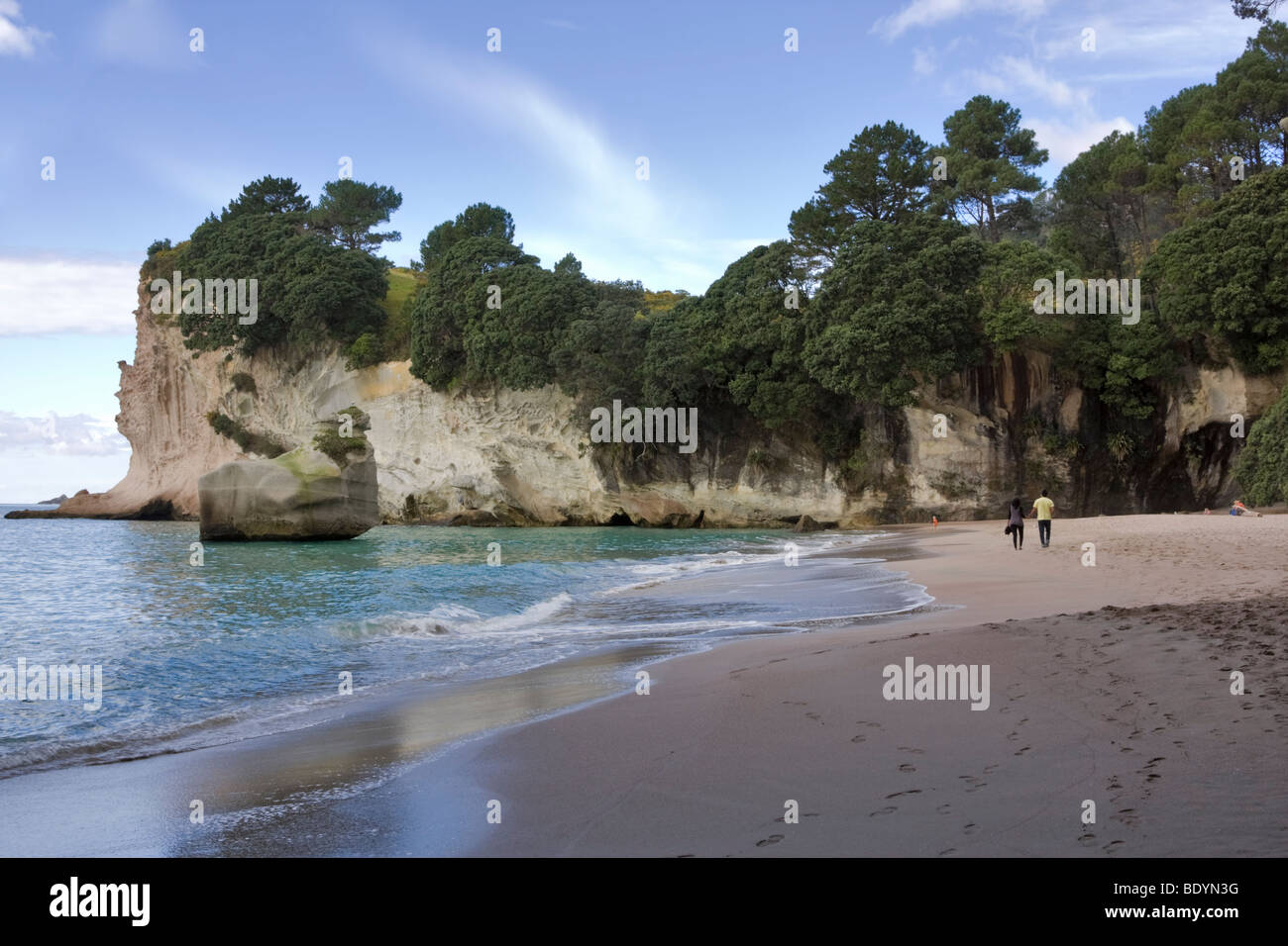 Cove della cattedrale, Penisola di Coromandel, Isola del nord, Nuova Zelanda Foto Stock