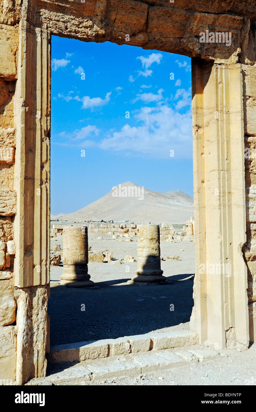 Finestra con vista dell'Agorà in Palmyra sito archeologico, Tadmur, Siria, Asia Foto Stock