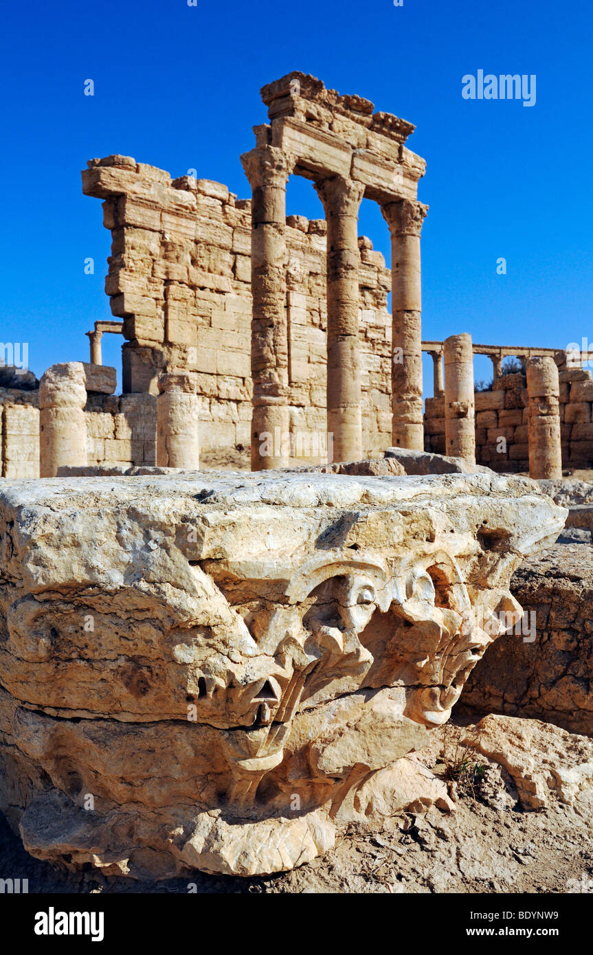 Rovine di Palmyra sito archeologico, Tadmur, Siria, Asia Foto Stock