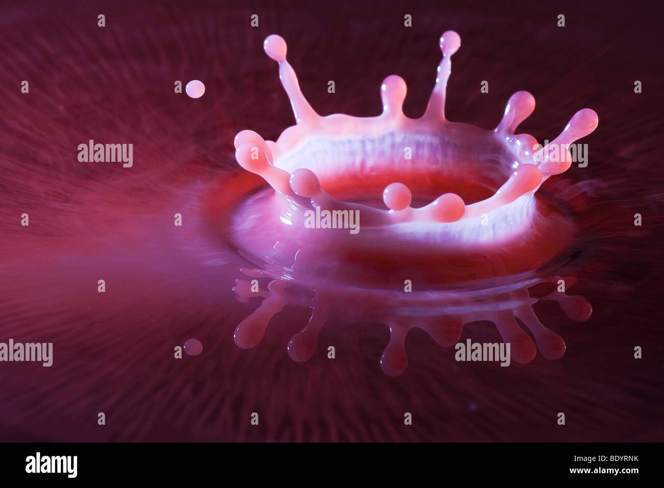 Gocce di acqua colorata e latte, una corona è formata in caso di urto Foto Stock