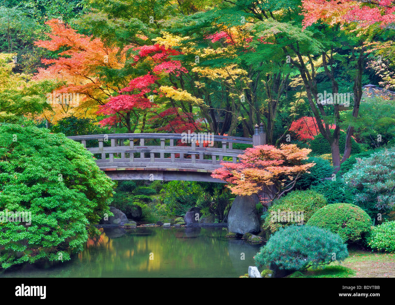 Portland giardini Giapponesi con il ponte e i colori dell'autunno. Oregon Foto Stock