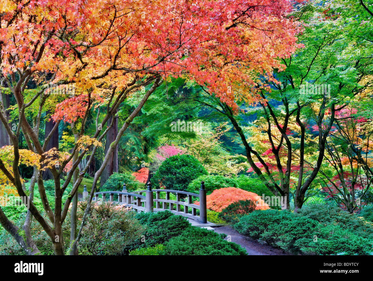 Portland giardini Giapponesi con il ponte e i colori dell'autunno. Oregon Foto Stock