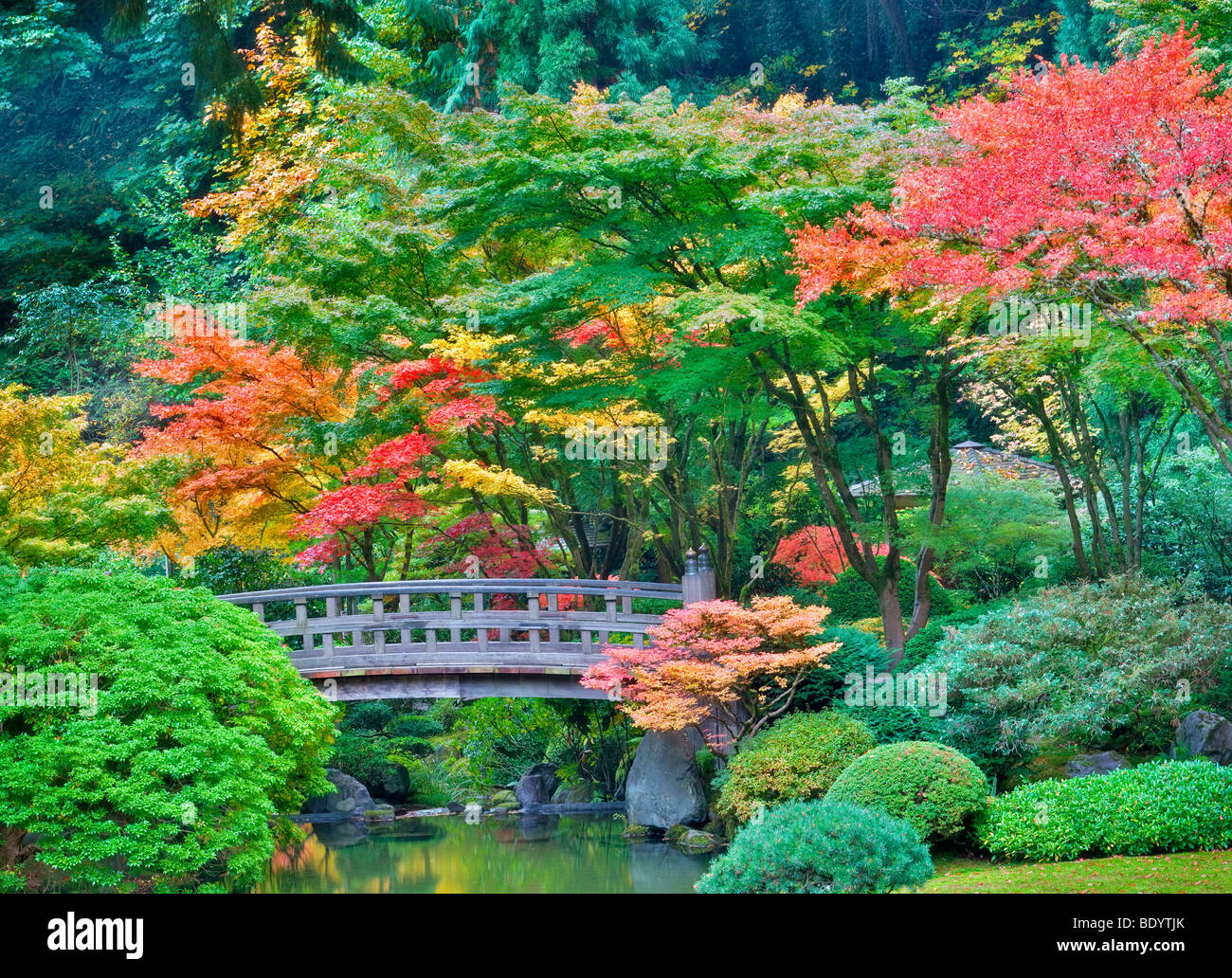 Portland è giardini Giapponesi con il ponte e i colori dell'autunno. Oregon Foto Stock