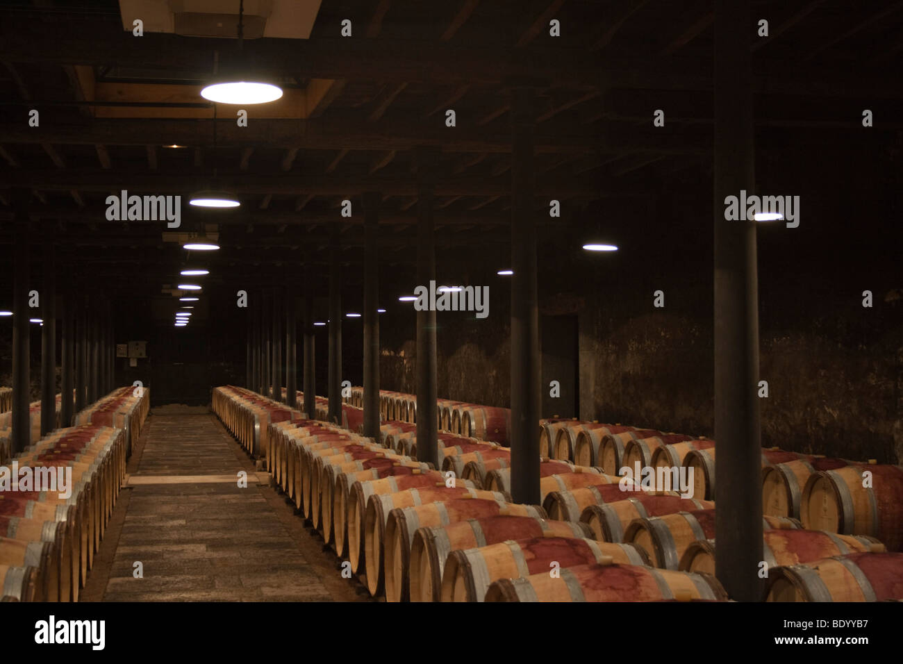 Borgogna Francia 2009 Abbazia di Cluny VIGNETO CANTINA Foto Stock