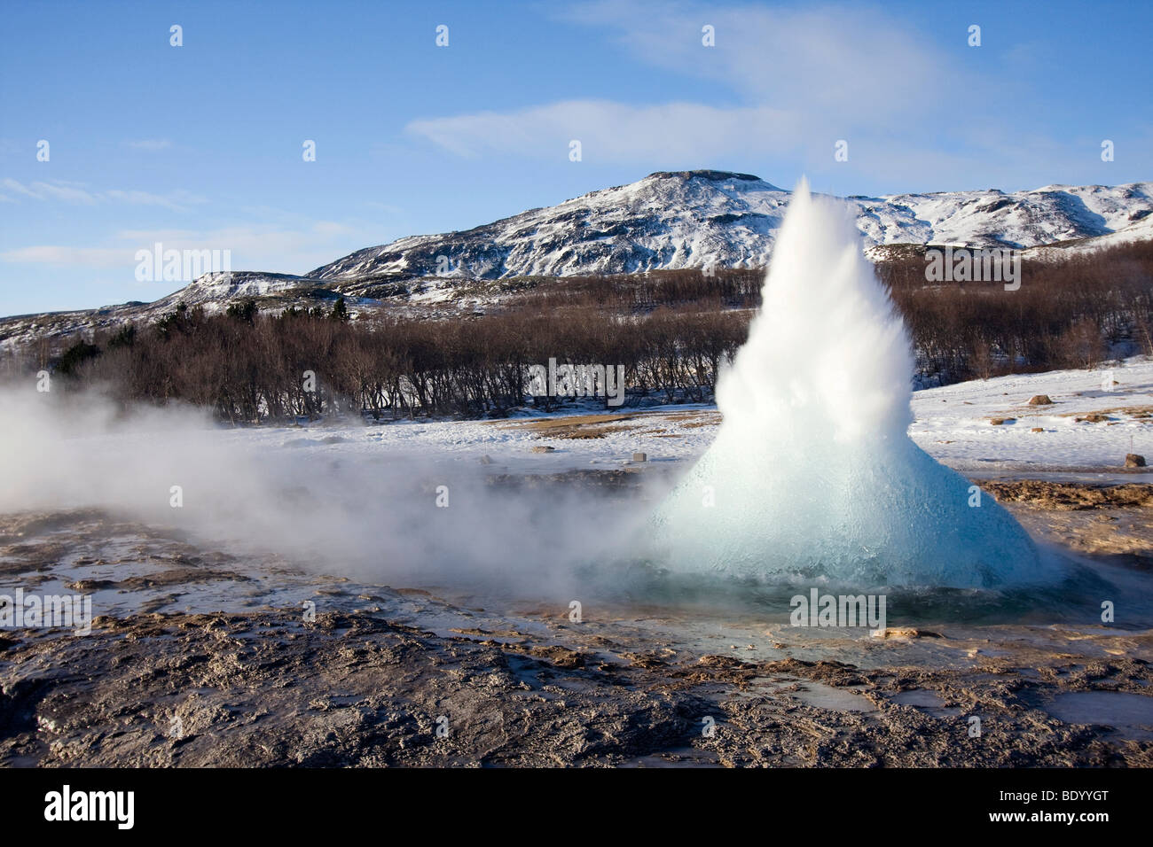 Eruzione del geyser Strokkur in un area geotermica in inverno, Islanda, Europa Foto Stock
