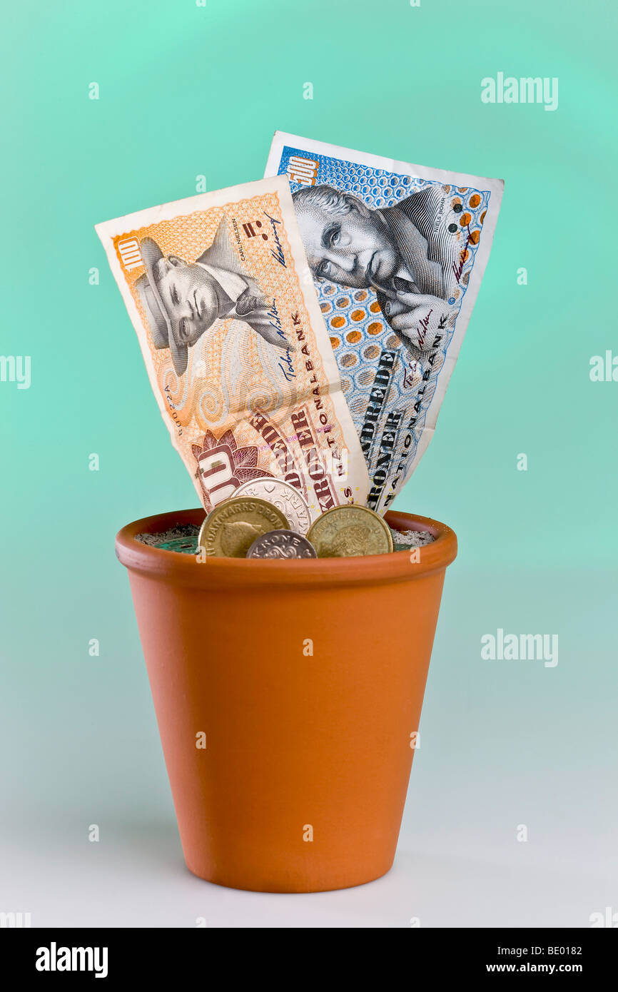 Banconote danesi che cresce in un vaso di fiori Foto Stock