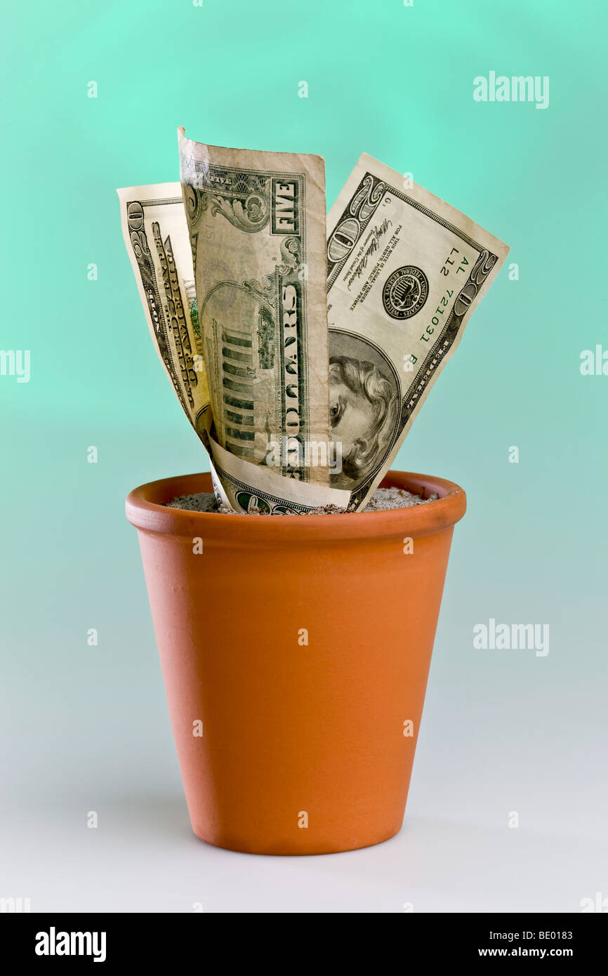 Note del dollaro in crescita in un vaso di fiori Foto Stock