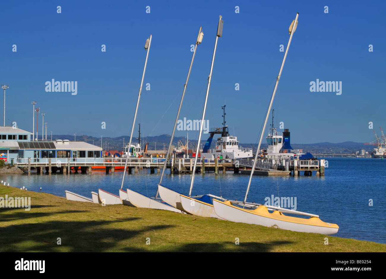 Catamarani redatto sul pilota Bay Beach, Tauranga Harbour, Mount Maunganui, Nuova Zelanda. Foto Stock